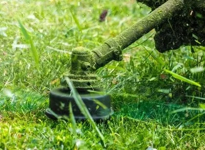 Providing cleanups for leaves, weeds, hedges along with other services.